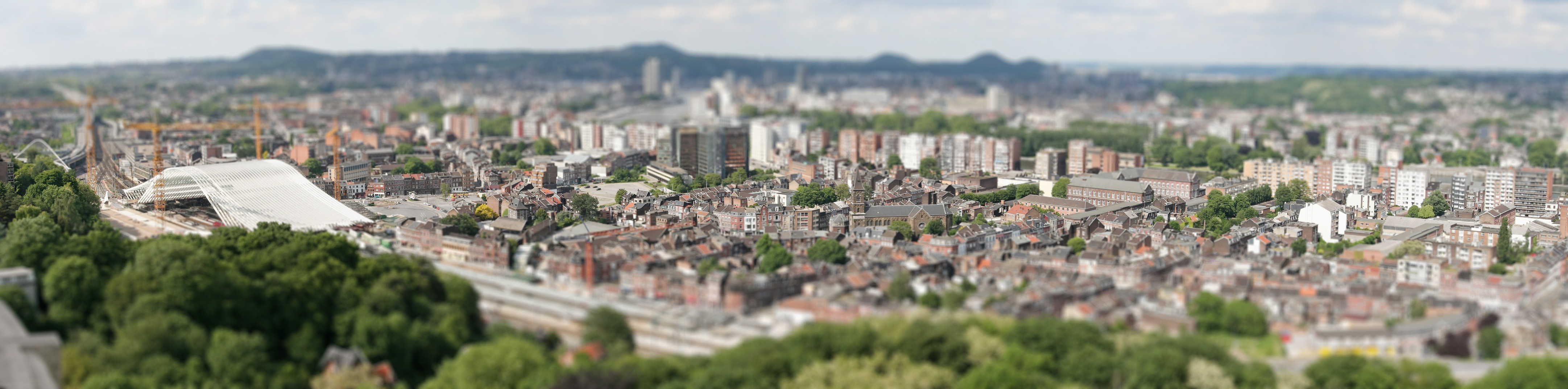 Quartier Lige Guillemin miniature